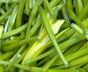 金针菜是黄花菜吗金针菜和黄花菜的区别 农百科