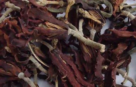 玉兰花茶的功效与作用 农百科