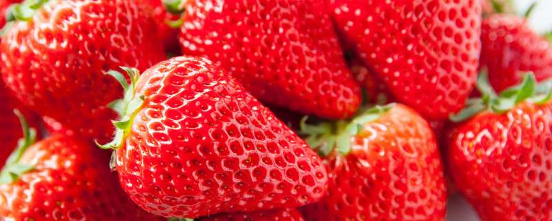 草莓冬天怎么保存