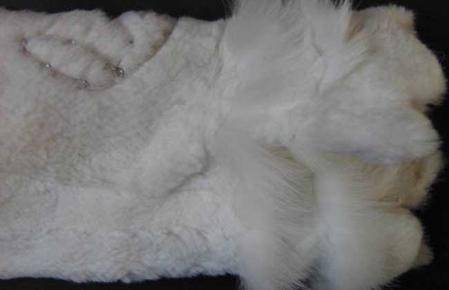 貂皮的种类及图片大全 农百科