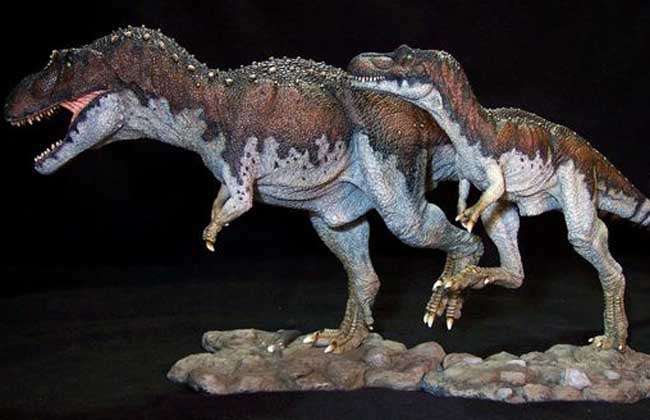 暴龙种类图片大全-农百科