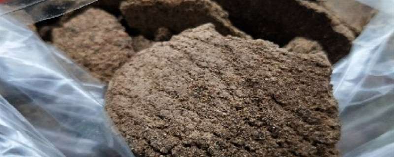 兔子粪便可以直接做肥料种花吗 兔子粪便可以直接做肥料种花吗