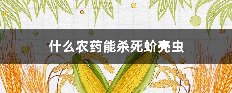 能杀死蚧壳虫的农药有很多种.例如速扑杀,噻虫嗪或者是杀扑磷等农药.