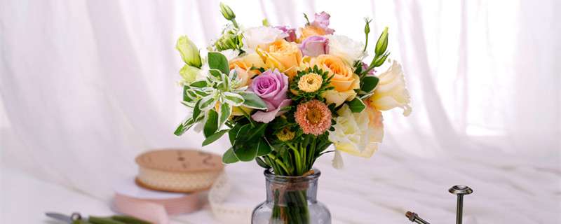 开花的过程 农百科