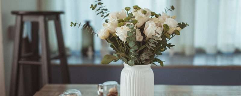 白色玫瑰代表什么 农百科