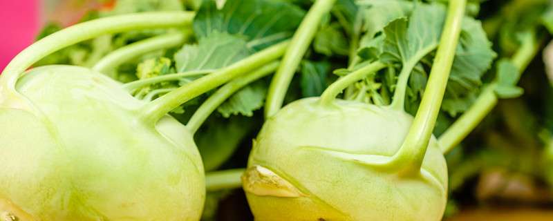 北方地区苤蓝种植技术-农百科