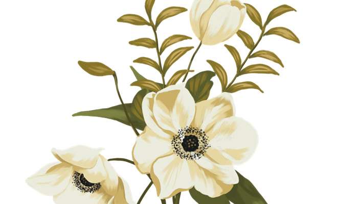 含笑花怎么养 农百科