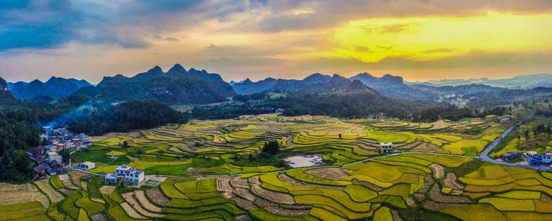 农林牧副渔分别指什么