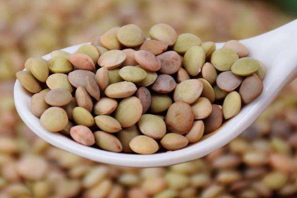 兵豆种植技术 深耕和施肥同时进行 农百科