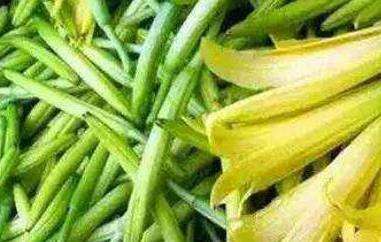 新鲜黄花菜有毒吗新鲜黄花菜如何吃 农百科