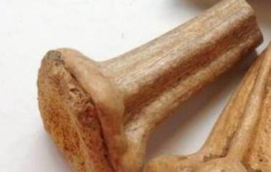 1,保胎安胎南瓜蒂是最适合女人怀孕期间服用的保健品,它能保安胎,能