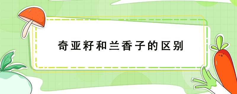 奇亚籽和兰香子的区别