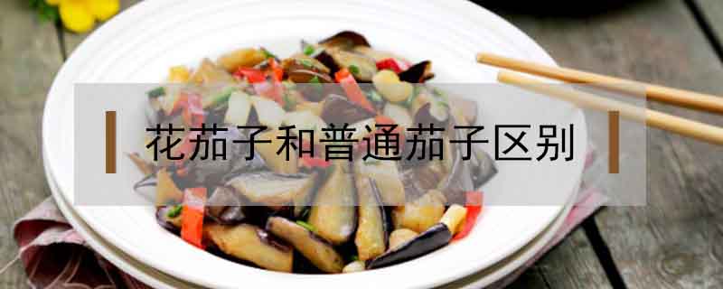 花茄子和普通茄子区别 农百科