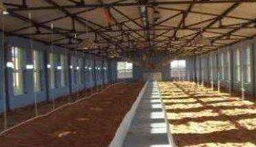 发酵床养鸡的鸡舍设计原则与建造要求