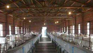 羊养殖场常用消毒药物和方法