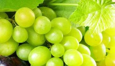 葡萄的功效与作用有哪些 吃葡萄的好处是什么