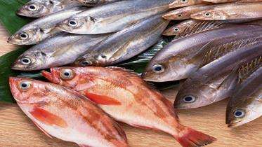 鲢鱼的做法 鲢鱼的营养价值 鲢鱼怎么做好吃