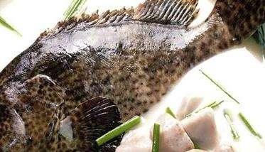 石斑鱼的营养价值 吃石斑鱼的好处
