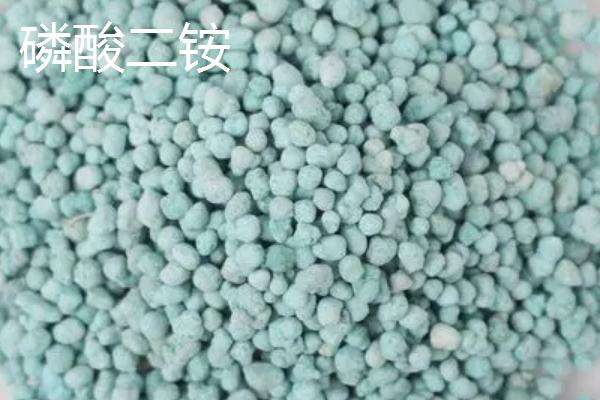 果树专用复合肥有哪些