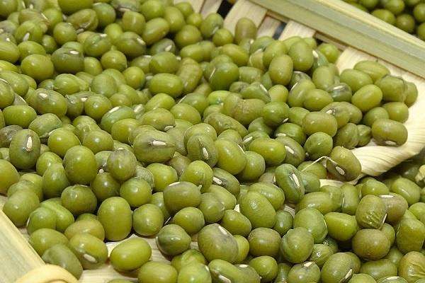 种绿豆用什么肥料好施肥方法有哪些 农百科