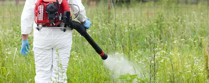 打过除草剂的喷雾器如何清洗