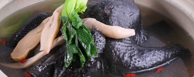 为什么农村没人养乌鸡