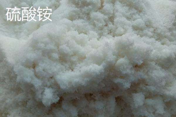 氮肥施用方法及注意事项