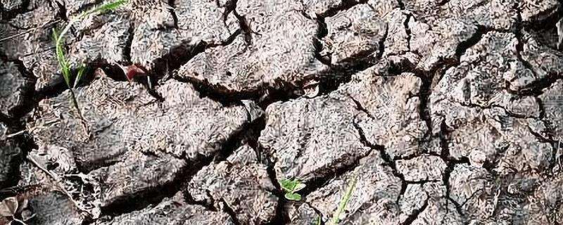 氮肥过量对土壤的影响