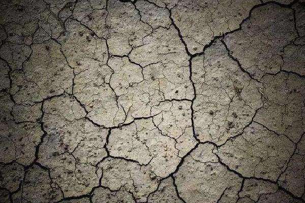 使用哪种氮肥最容易引起土壤板结