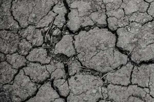 使用哪种氮肥最容易引起土壤板结