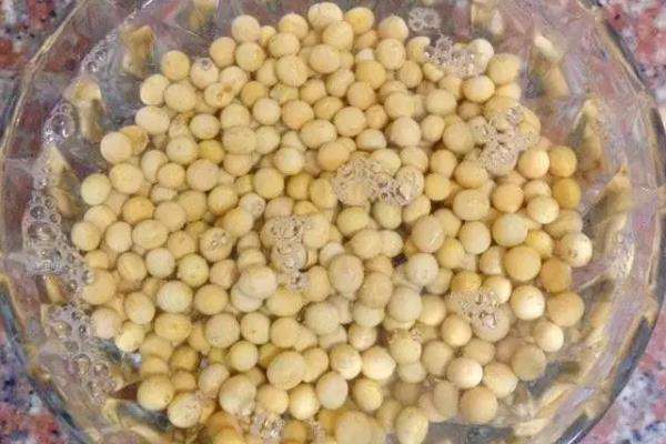 黄豆是氮肥还是钾肥