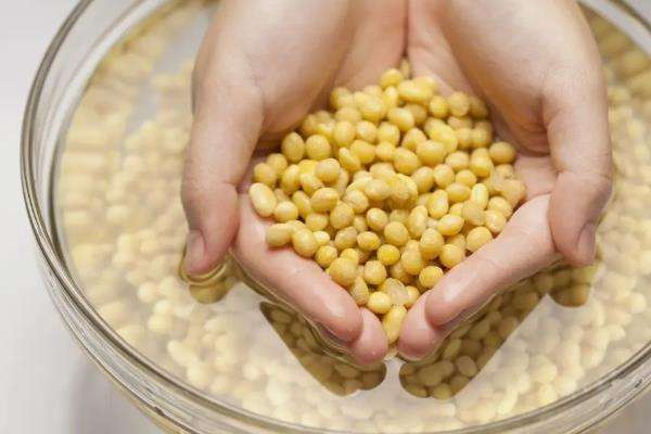 黄豆是氮肥还是钾肥