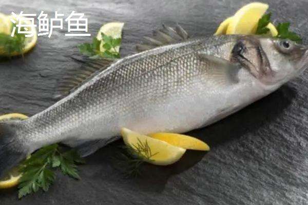 海鲈鱼和淡水鲈鱼的区别