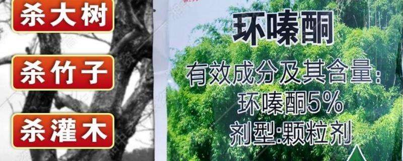 环嗪酮杀大树的使用方法和范围,附环嗪酮使用方法