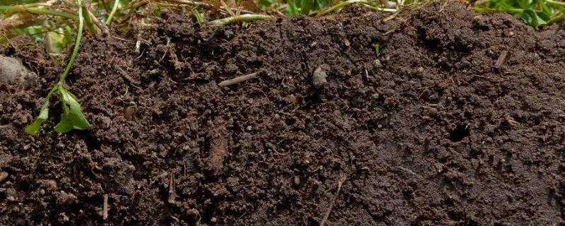 农业上用什么改良酸性土壤，改良土壤的常用方法