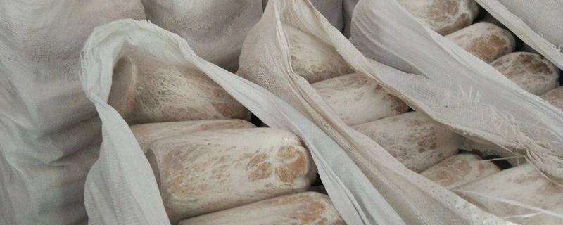 高产茯苓菌种制作方法,茯苓菌种的适宜生长温度