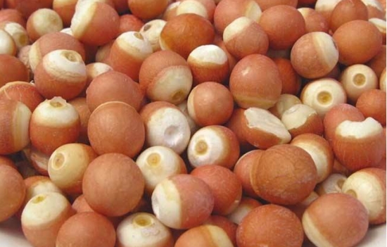 芡实是什么:水生草本植物,浆果和植株统称芡实,果实也叫"鸡头米"-农