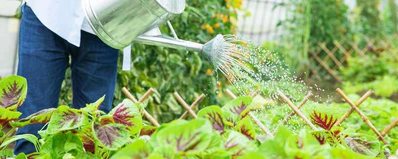 灌溉农业和绿洲农业和河谷农业的区别