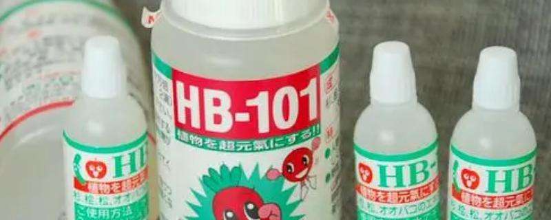 hb101活力素的使用方法