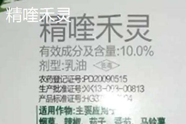 盖草能和精喹禾灵的区别