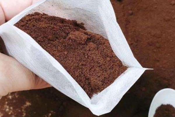 咖啡渣怎么做肥料