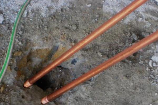 农村致富的好项目